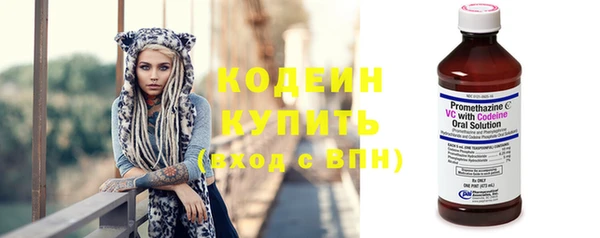амф Арсеньев
