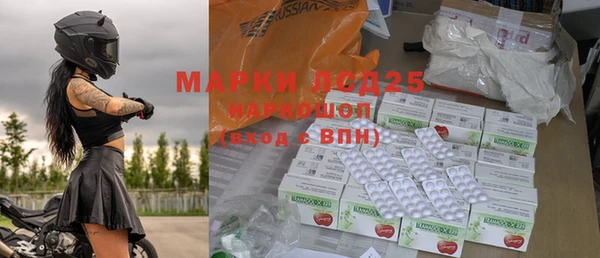 эйфоретик Баксан