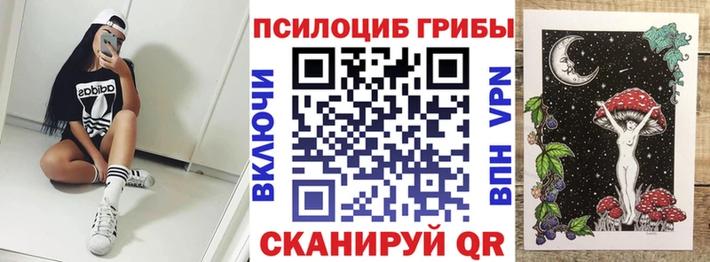 где можно купить наркотик  Волжск  Псилоцибиновые грибы мицелий 